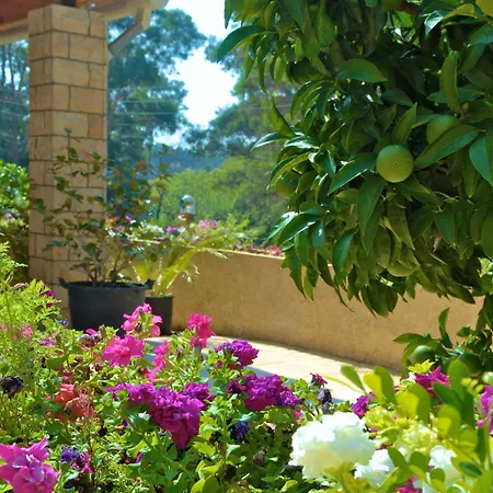 Doukas * Dassia (Corfu)