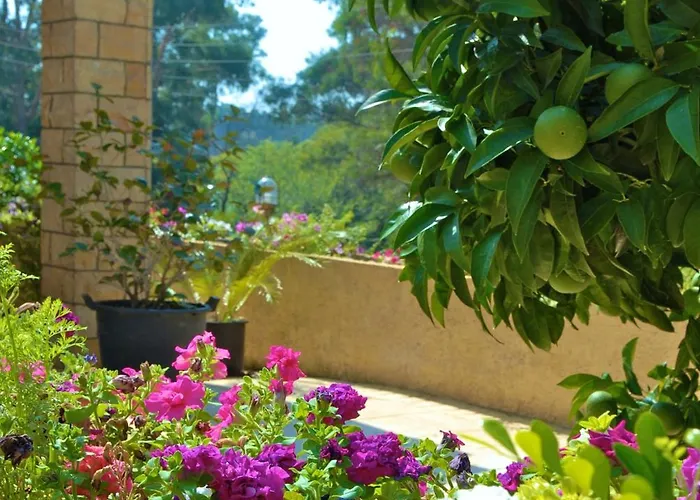 Doukas * Dassia (Corfu)